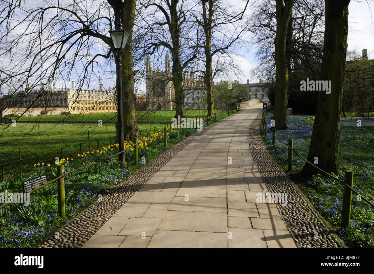 Il percorso che conduce al Kings ponte sopra il fiume Cam e al Kings College Chapel in primavera, Cambridge, Inghilterra, Regno Unito Foto Stock