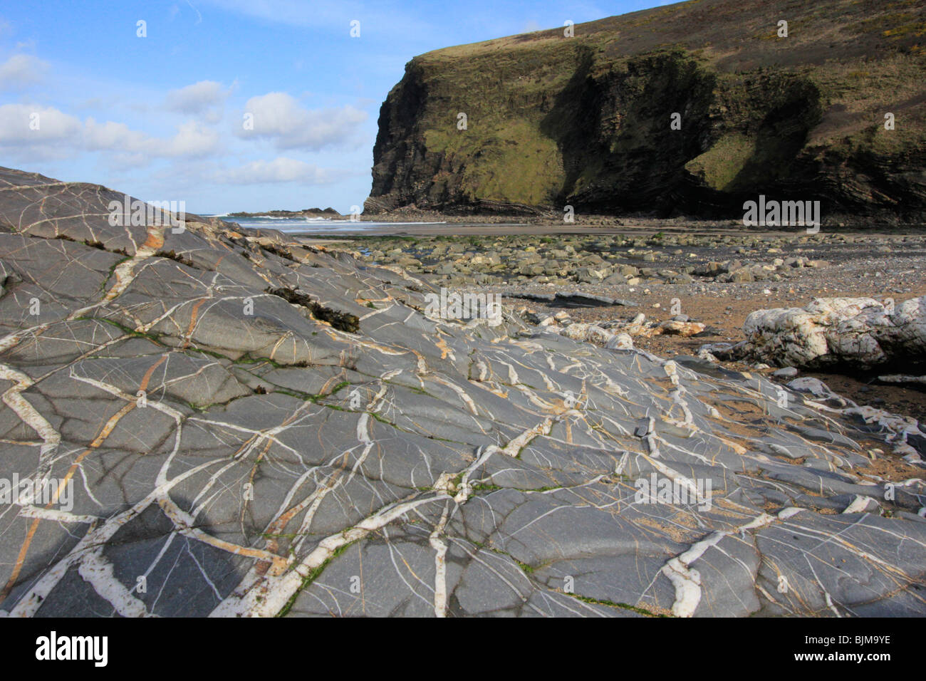 Crackington Haven north cornwall costa atlantica roccia geologia England Regno unito Gb Foto Stock