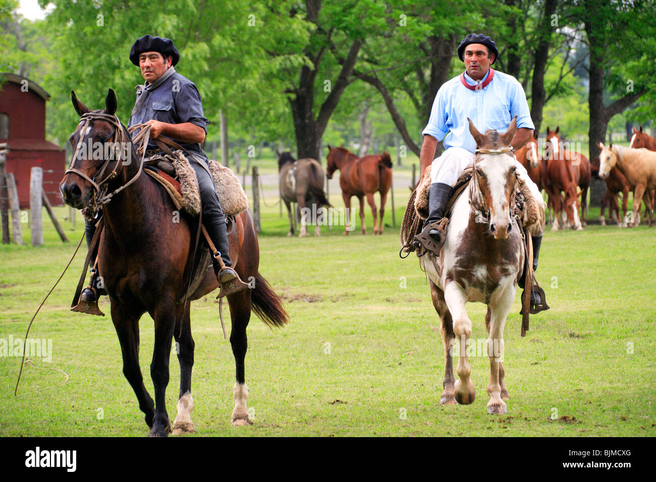 Paisanos (moderno gauchos) con cavalli a San Antonio de Areco Gaucho Festival. (Fiesta de la Tradicion/ tradizione partito). Foto Stock