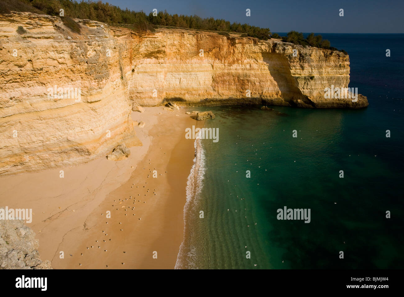 Silenzioso, inaccessibile, insenatura di sabbia e scogliere a a Benagil, a est di Portimao Algarve. Foto Stock