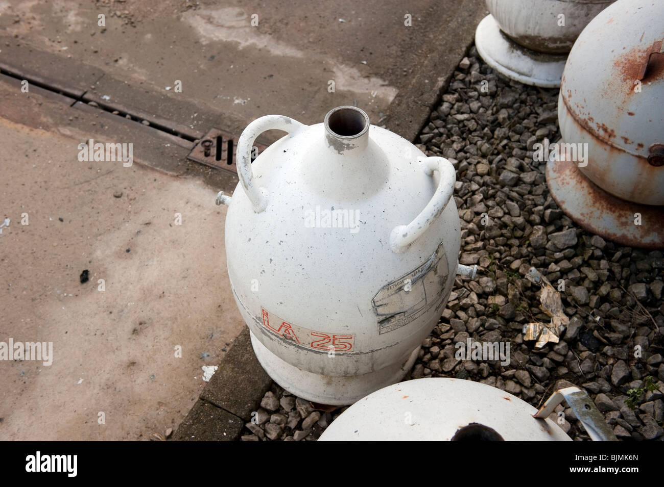 La conservazione di azoto liquido sferiche di contenitore Dewar Foto Stock