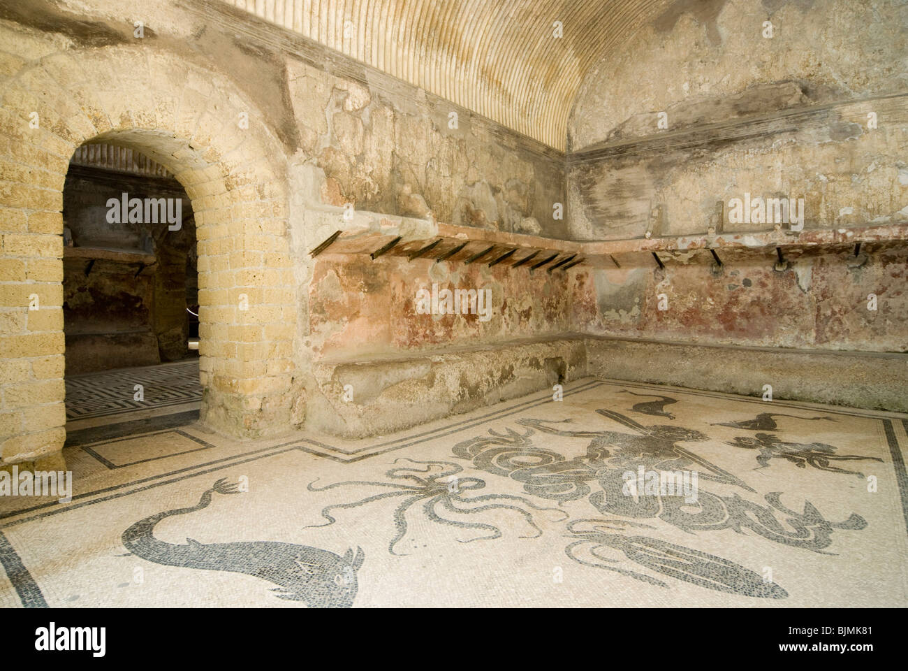Ercolano, distretto archeologico, gli scavi della città romana di Herkulaneum, onorevoli bagno termale, pavimento a mosaico Foto Stock