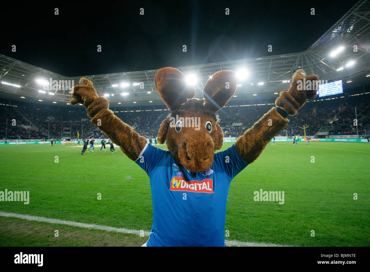 Hoffi, mascotte della Bundesliga soccer team TSG 1899 Hoffenheim nel Rhein-Neckar-Arena, Sinsheim, Baden-Wuerttemberg, Tedesco Foto Stock