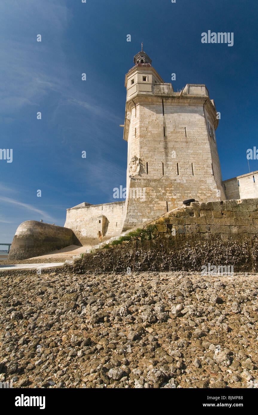 Fort Louvois a bassa marea, Pointe du Chapus , Charente-Maritime, Francia. Foto Stock