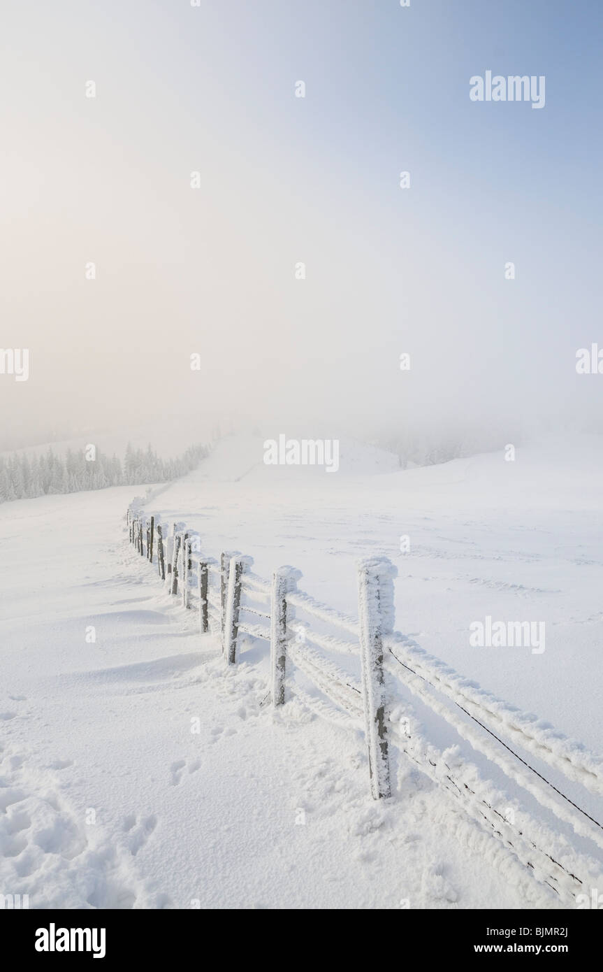 Recinzione nevoso, Mt. Unterberg, Austria Inferiore, Austria, Europa Foto Stock