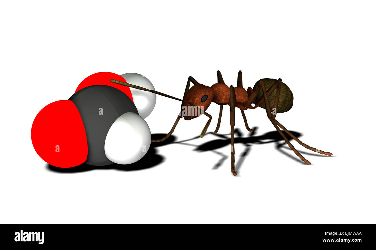Acido formico molecola con ant Foto Stock