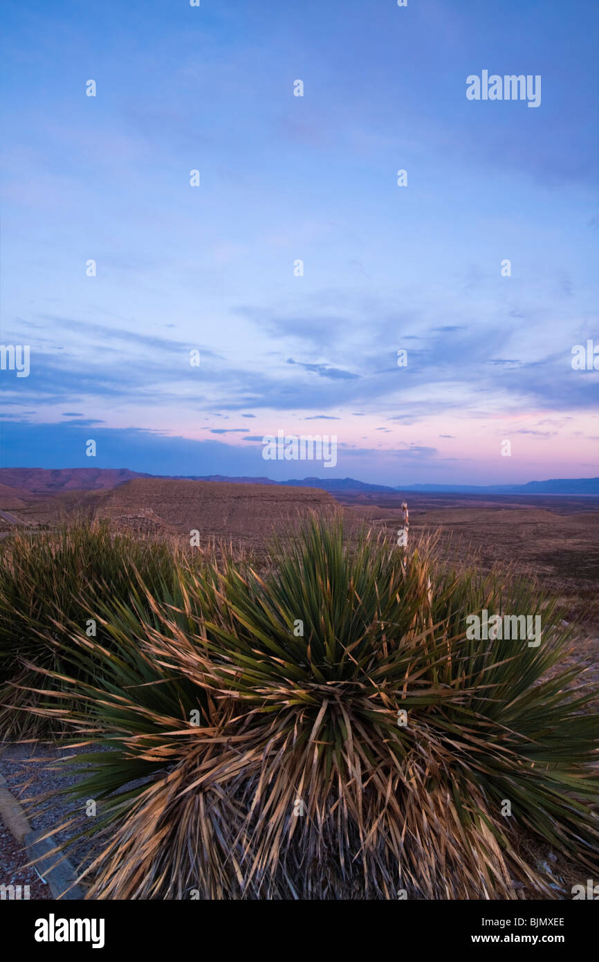Tramonto in Guadalupe Mountains Foto Stock