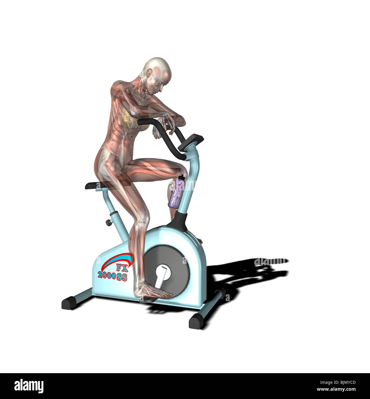 Muscolo donna su una bicicletta trainer Foto Stock