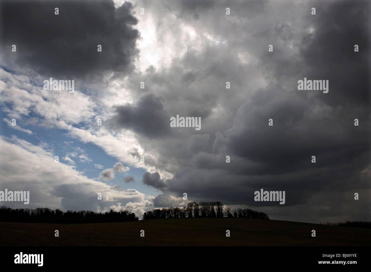 Gog Magog Hills, Cambridgeshire. Foto Stock