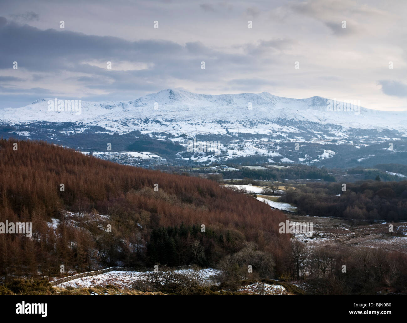 Cadair Idris 893m o 2930ft alta. Visto dal precipizio a piedi vicino a Dolgellau Galles REGNO UNITO Foto Stock