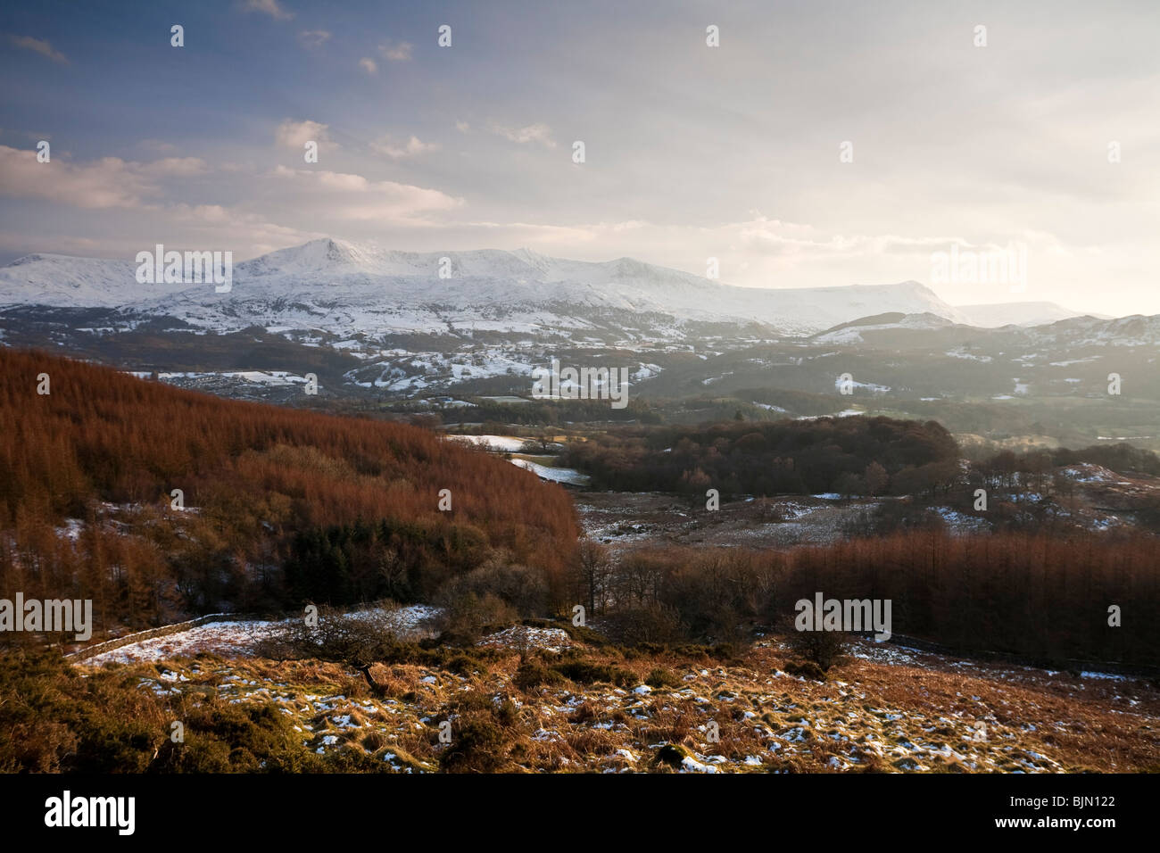 Cadair Idris 893m o 2930ft alta. Visto dal precipizio a piedi vicino a Dolgellau Galles REGNO UNITO Foto Stock