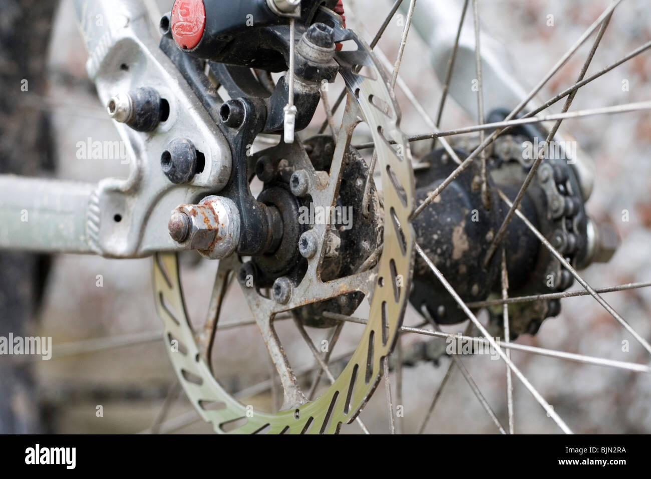 Un disco freno posteriore gruppo su una bicicletta Foto Stock