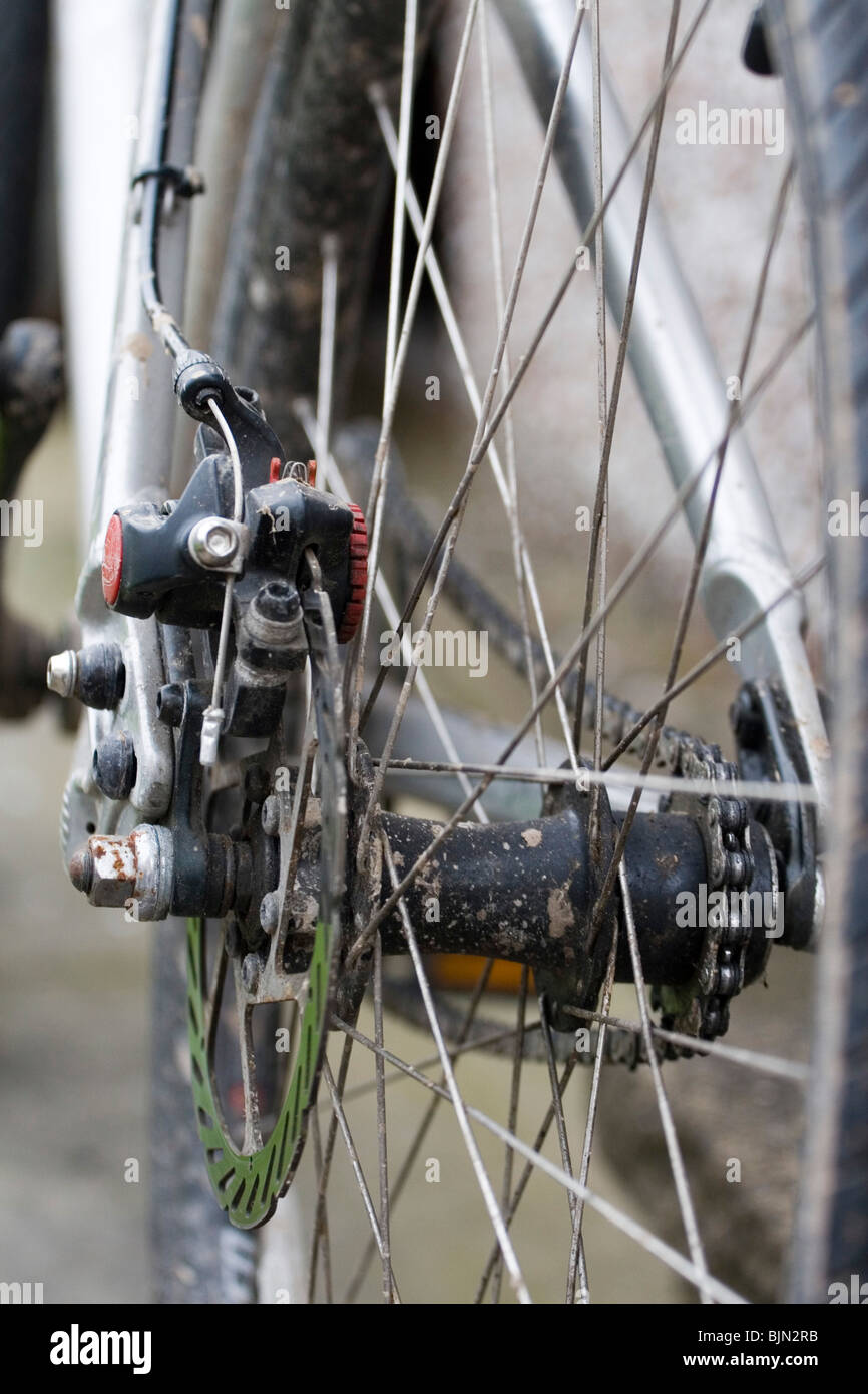 Un disco freno posteriore gruppo su una bicicletta Foto Stock