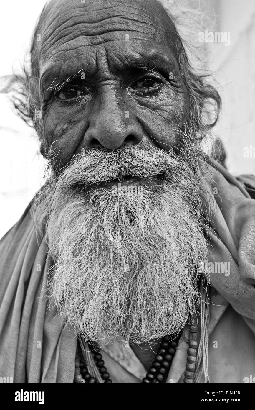 Ritratto di un Sadhu, Pushkar, India Foto Stock