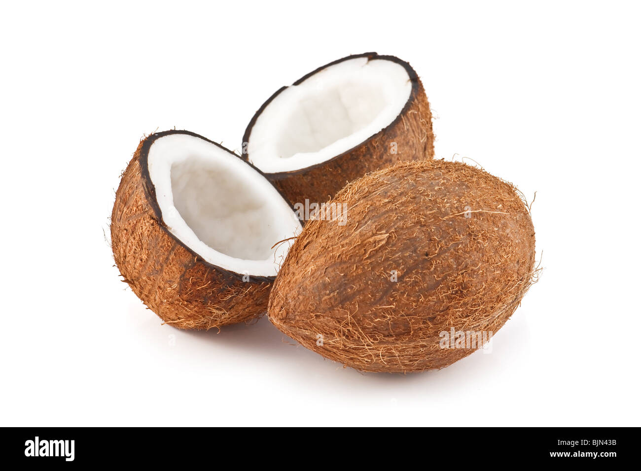 Il cocco isolato su bianco Foto Stock