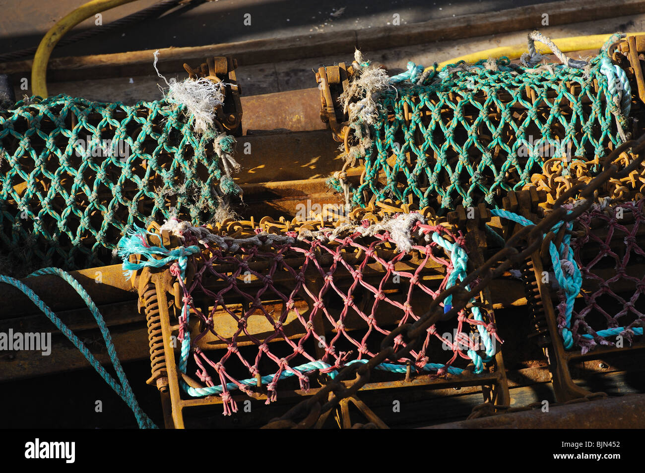 Sogni di capesante sulla barca da pesca, Kirkcudbright, Scozia del sud-ovest, Regno Unito Foto Stock