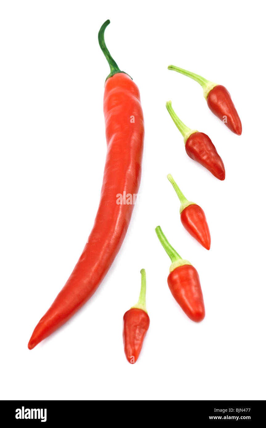 Red Hot Chili Peppers isolato Foto Stock