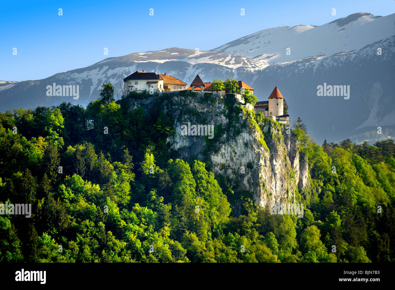 Il castello di Bled. Bled Slovenia. Foto Stock