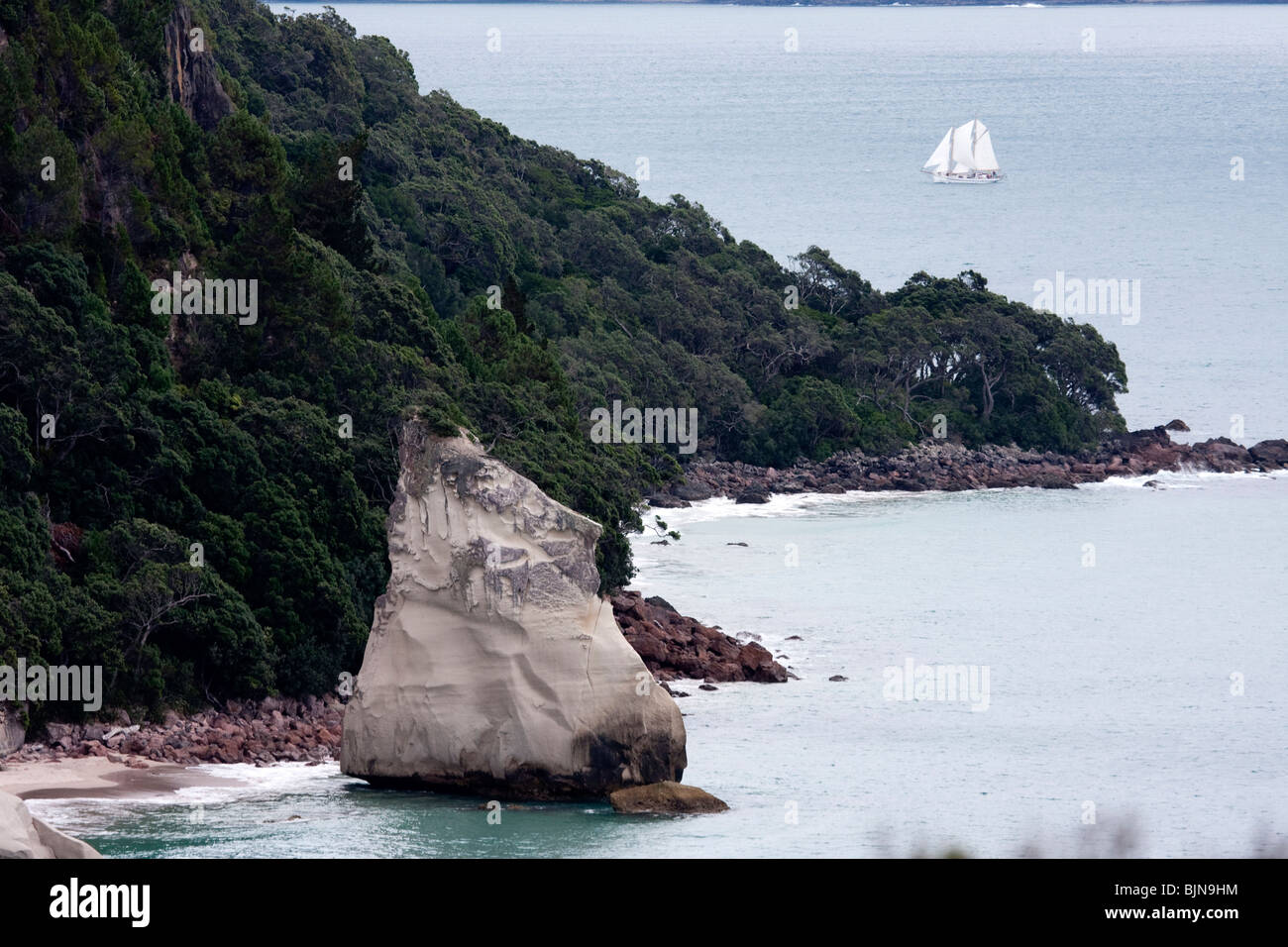 Imbarcazione a vela in mare blu a Cove della cattedrale Penisola di Coromandel, Isola del nord, Nuova Zelanda. Foto Stock