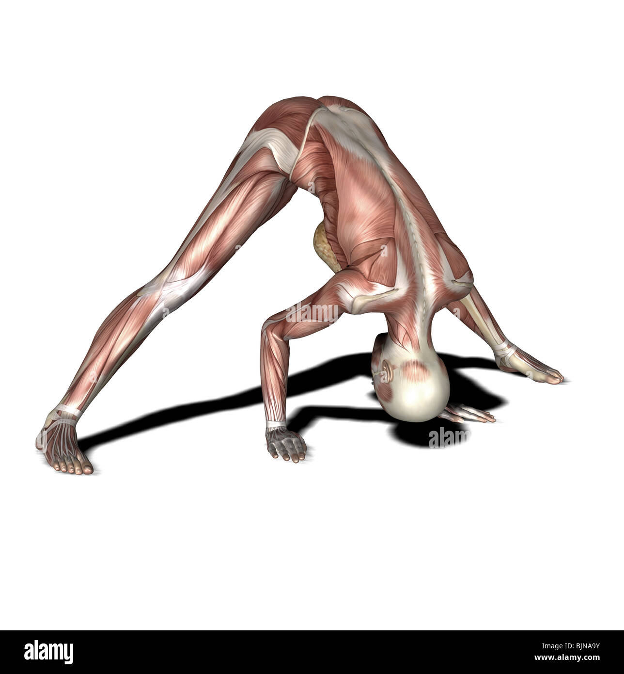 La pratica dello yoga intensa diffusione tratto di gamba Foto Stock