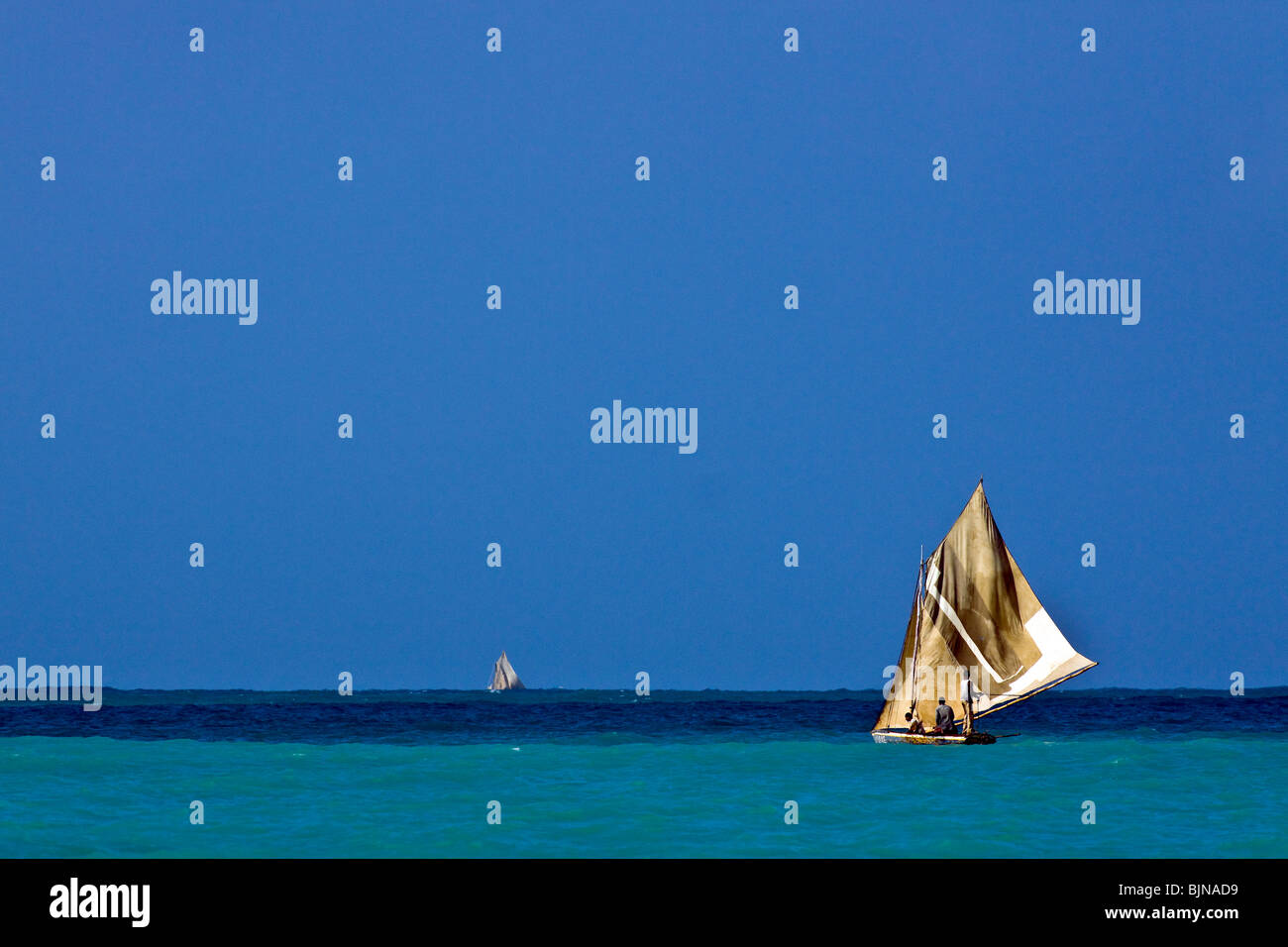 Haiti, provincia Sud, Ile a Vache, barche di pescatori locali. Foto Stock