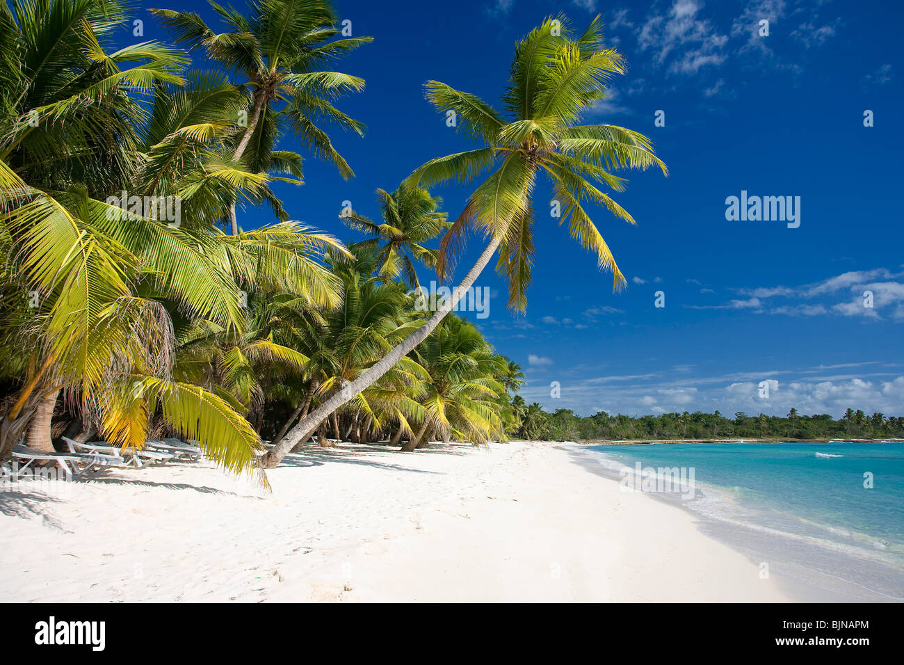 Saona Island, Repubblica Dominicana Foto Stock