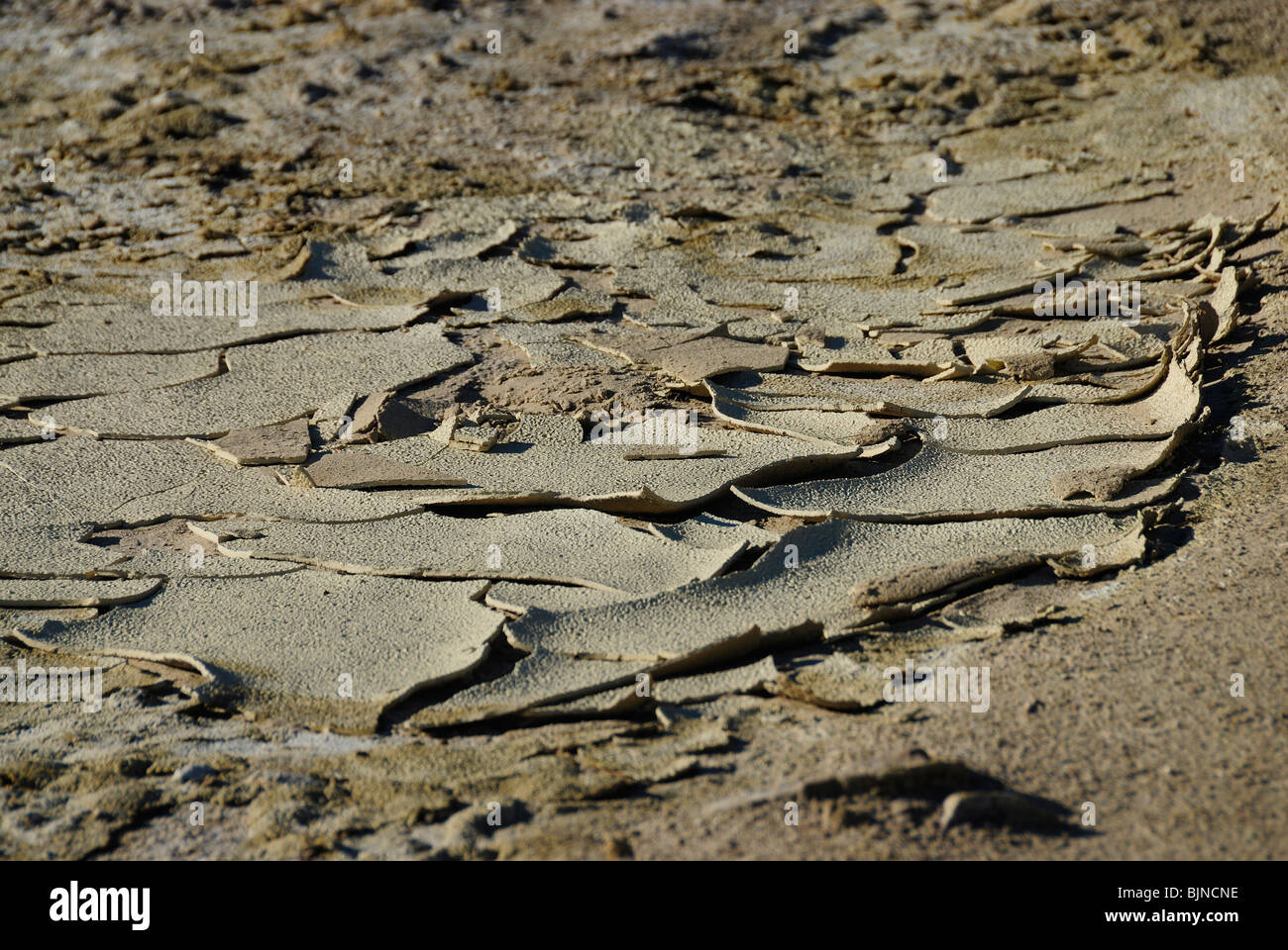 Vista panoramica di Salt Creek nella Death Valley, California State Foto Stock