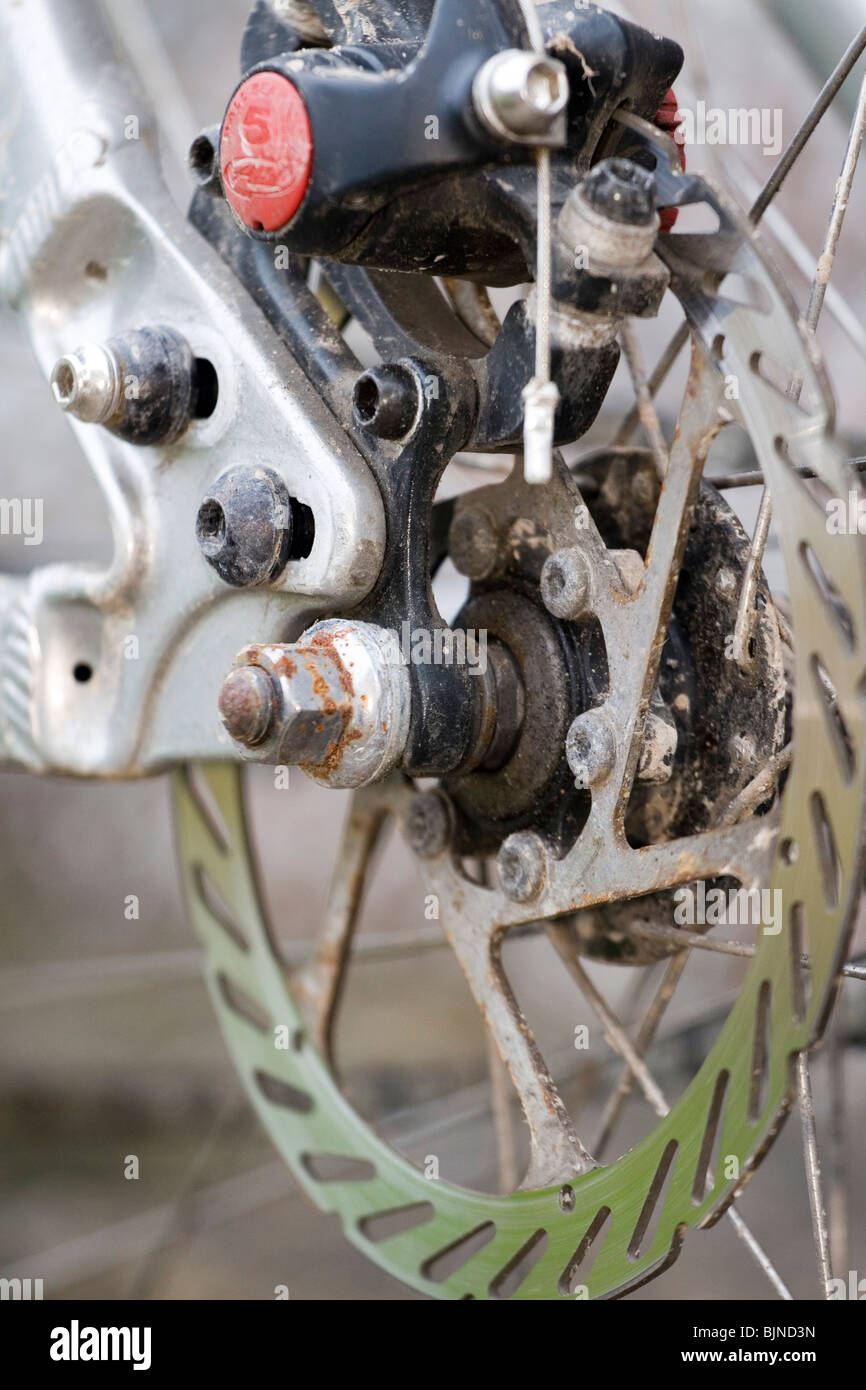 Un disco freno posteriore gruppo su una bicicletta Foto Stock