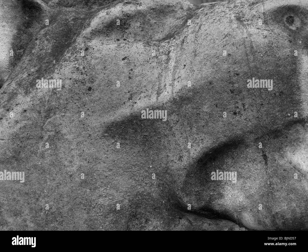 Close up di Lion statua alla testa. British Museum, Bloomsbury, London, England, Regno Unito Foto Stock