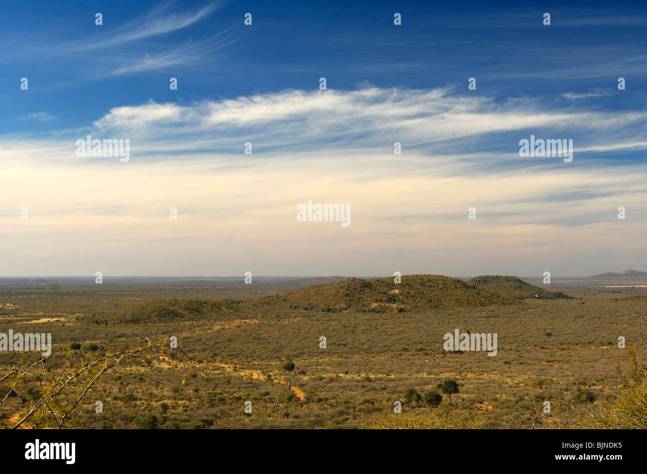 Vista sul vasto paesaggio della Savannah africana della Madikwe Game Reserve, Sudafrica Foto Stock