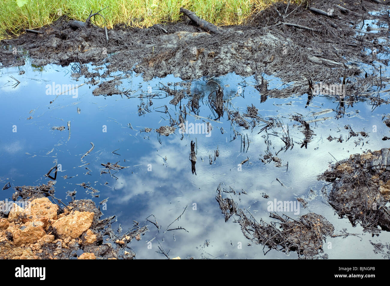 Fuoriuscita di olio nella foresta pluviale tropicale, Ecuador Foto Stock