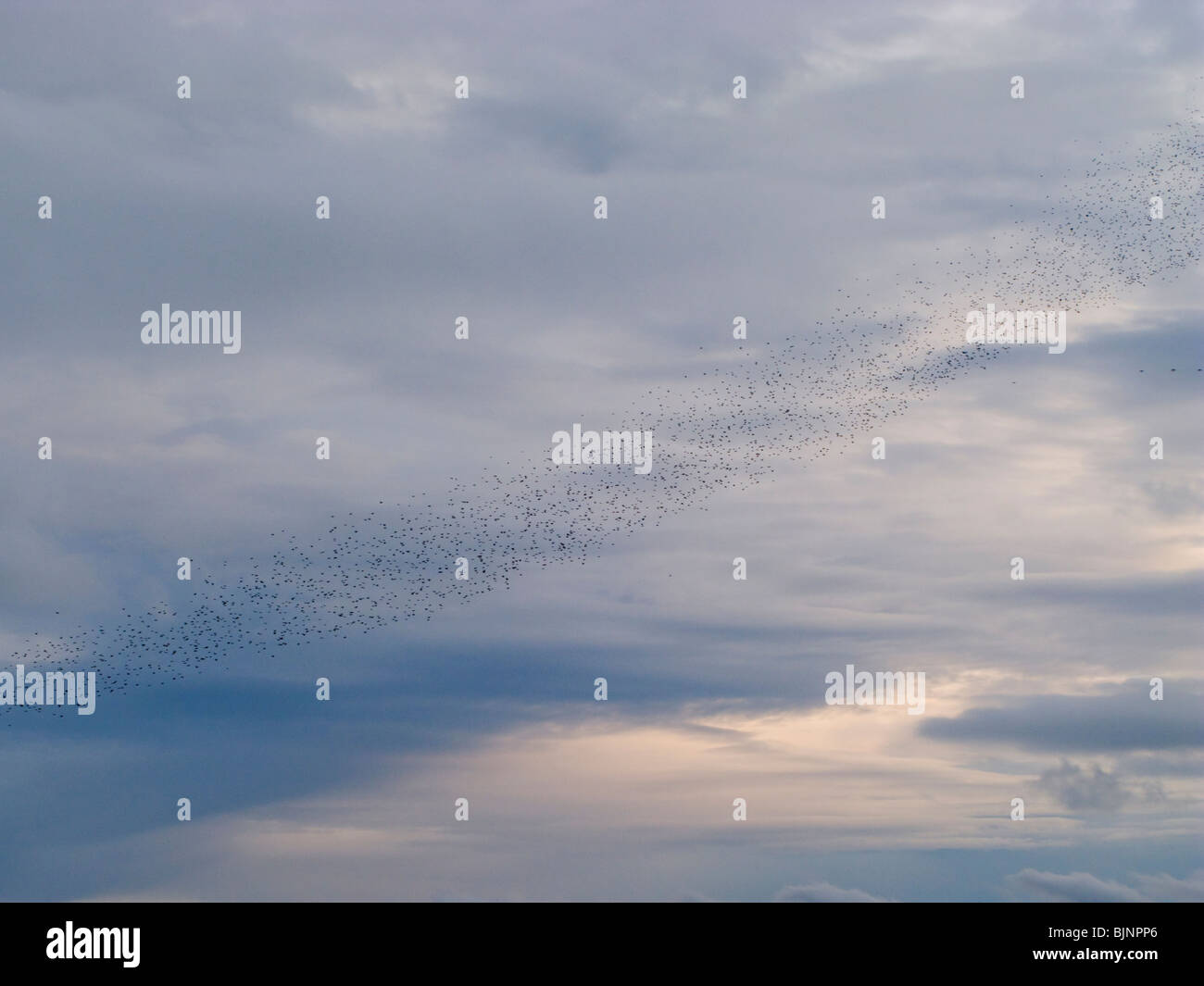 Mare Mediterraneo, Sky, nuvole, leggero, silenzioso, Paesaggio Foto Stock
