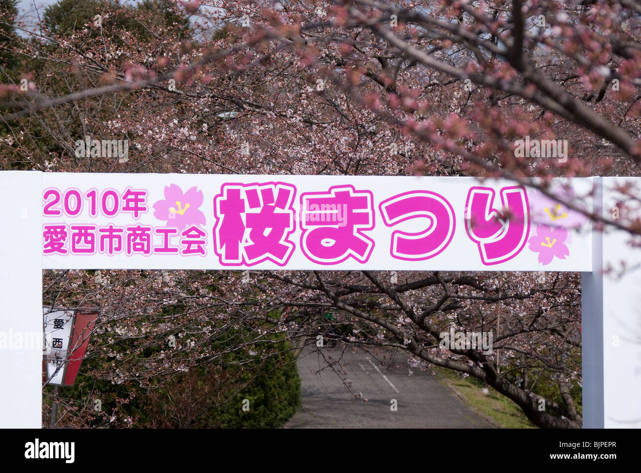 Un banner che annuncia il giapponese Cherry Blossom Festival, Mie, Giappone Foto Stock