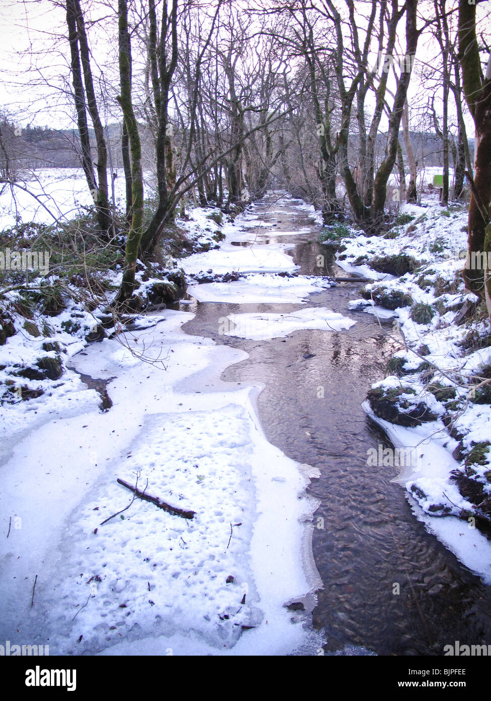 Parzialmente congelati in streaming in inverno Foto Stock