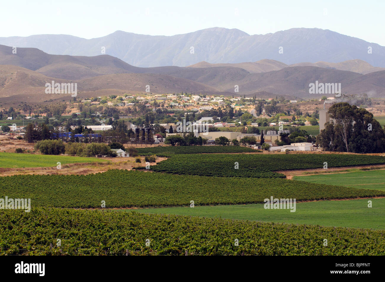 Bonnievale sotto le montagne Riviersonderend un vino che producono città circondata da vigneti nel fiume Breede zona ZA Foto Stock