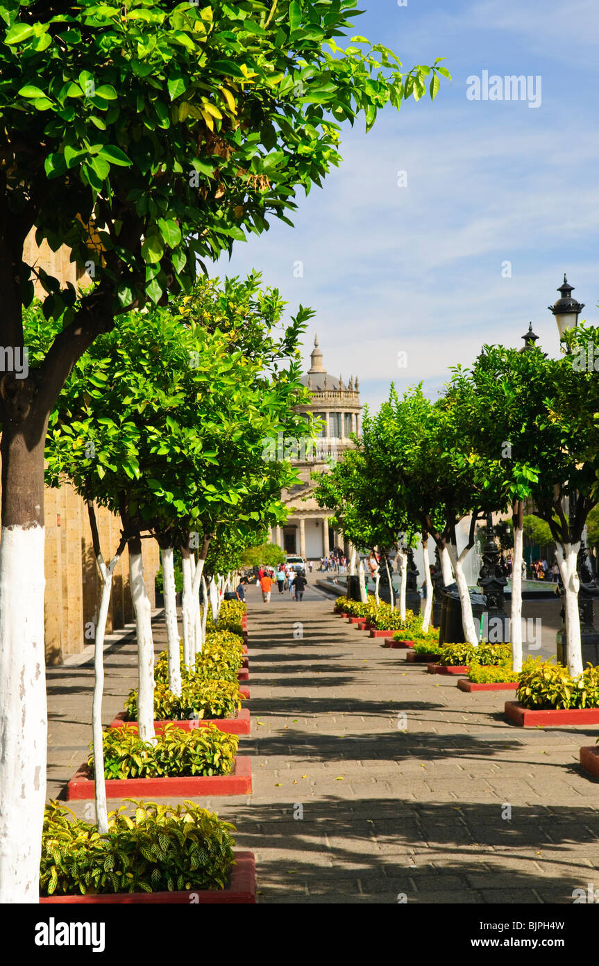 Plaza Tapatia portando a Hospicio Cabanas nello storico centro di Guadalajara, Jalisco, Messico Foto Stock