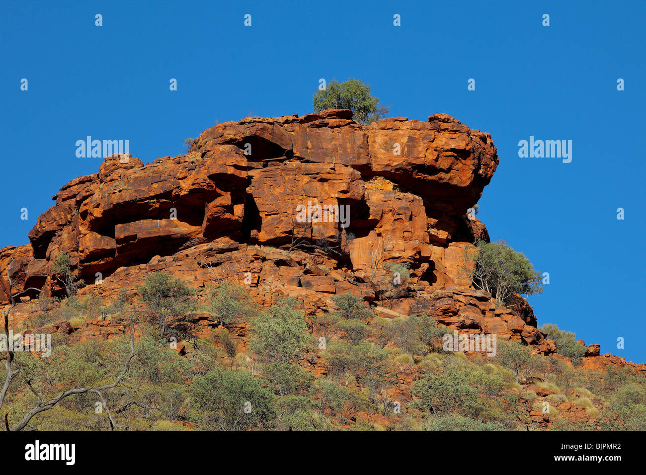 Kings Canyon è in George Gill gamma di Watarrka National Park in Australia. Foto Stock