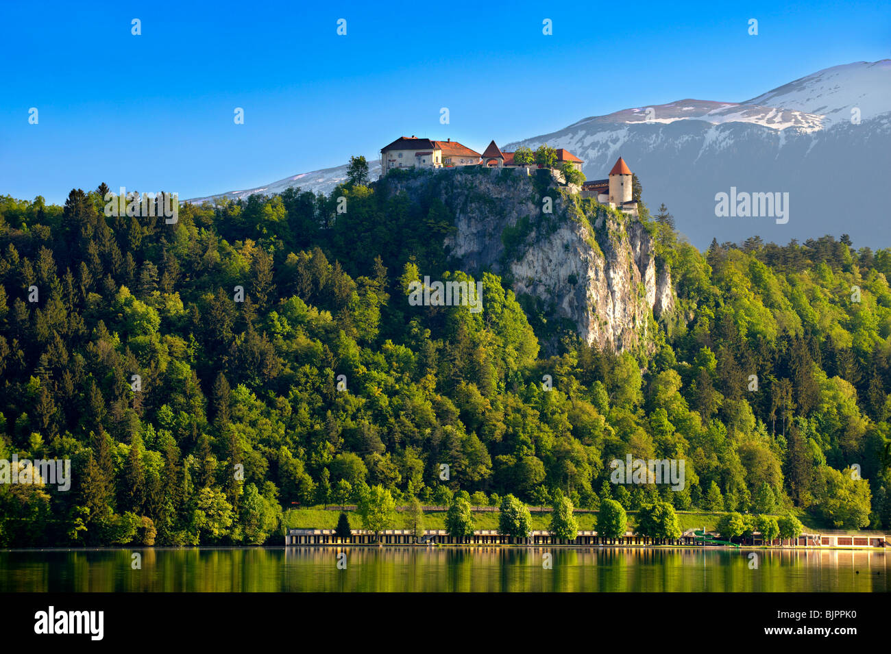 Il castello di Bled. Bled Slovenia. Foto Stock