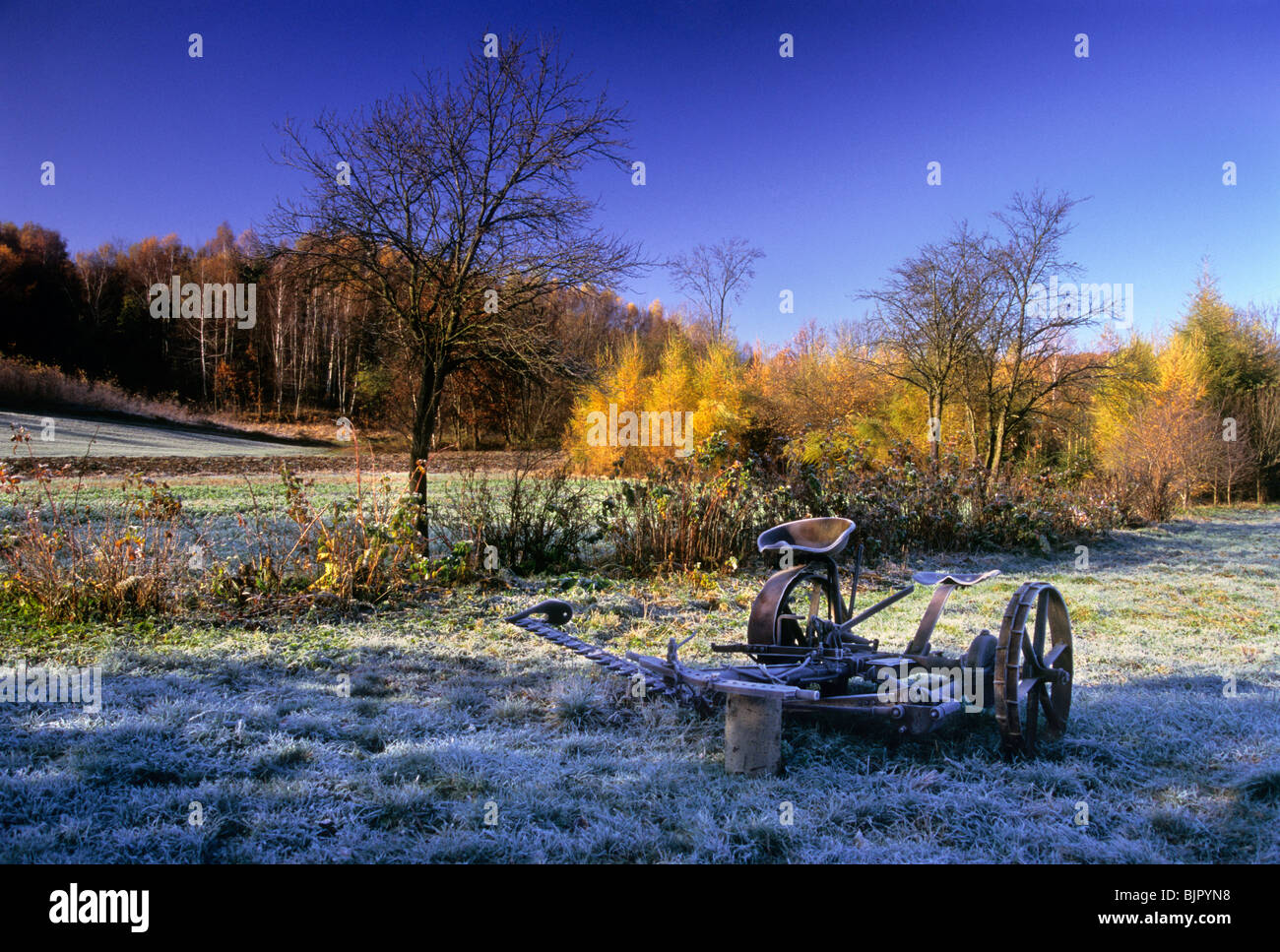 Tosaerba antichi brina , Polacco village, Polonia campagna, Foto Stock