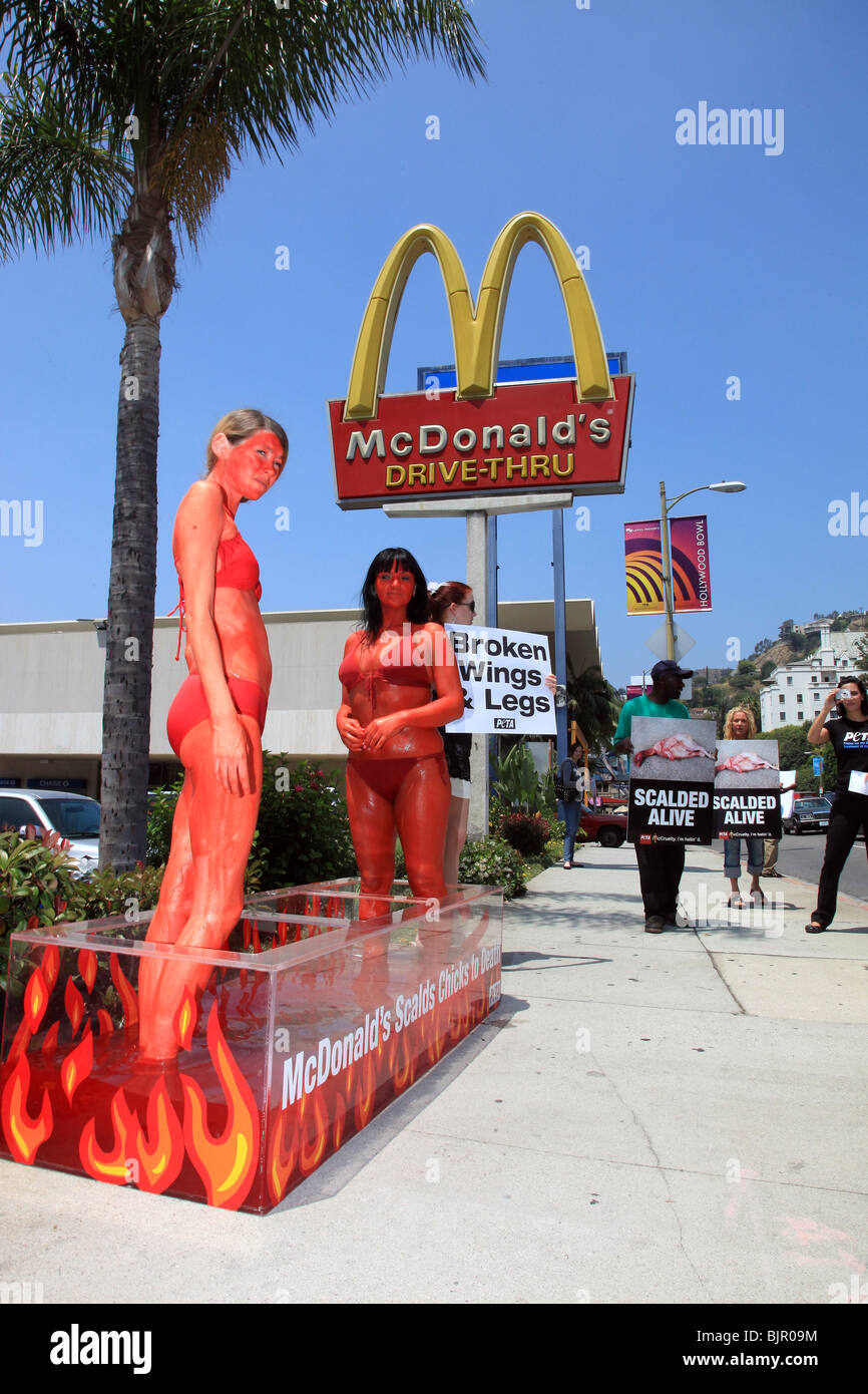 BIKINI CLAD PETA BELLEZZE BIKINI CLAD PETA bellezze scottate in vita a un MCDONALDS HOLLYWOOD WEST HOLLYWOOD Los Angeles CA USA Foto Stock