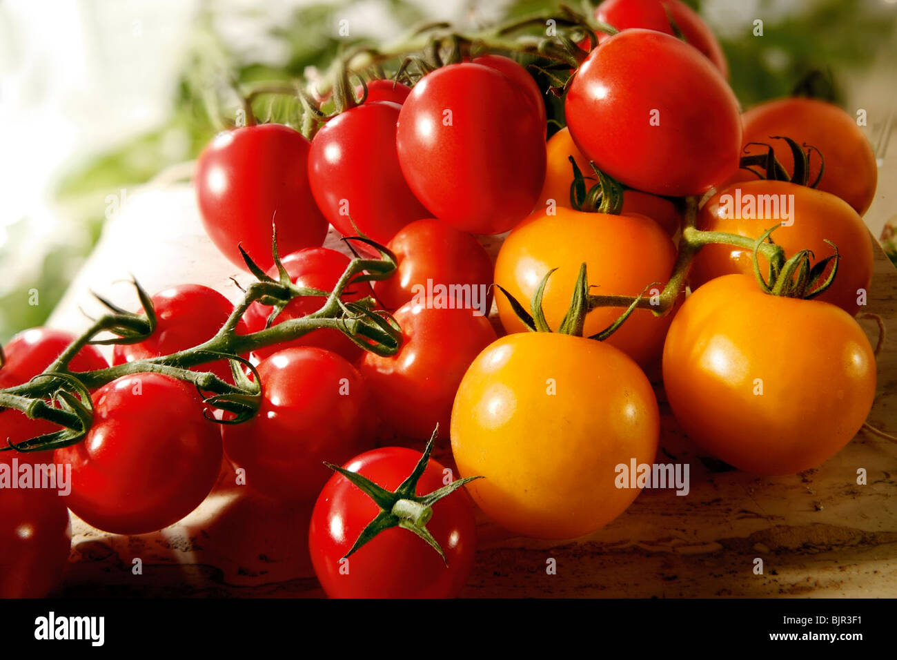 E una selezione di fresche di rosso e di giallo i pomodori e i pomodorini cibo fotografia Foto Stock