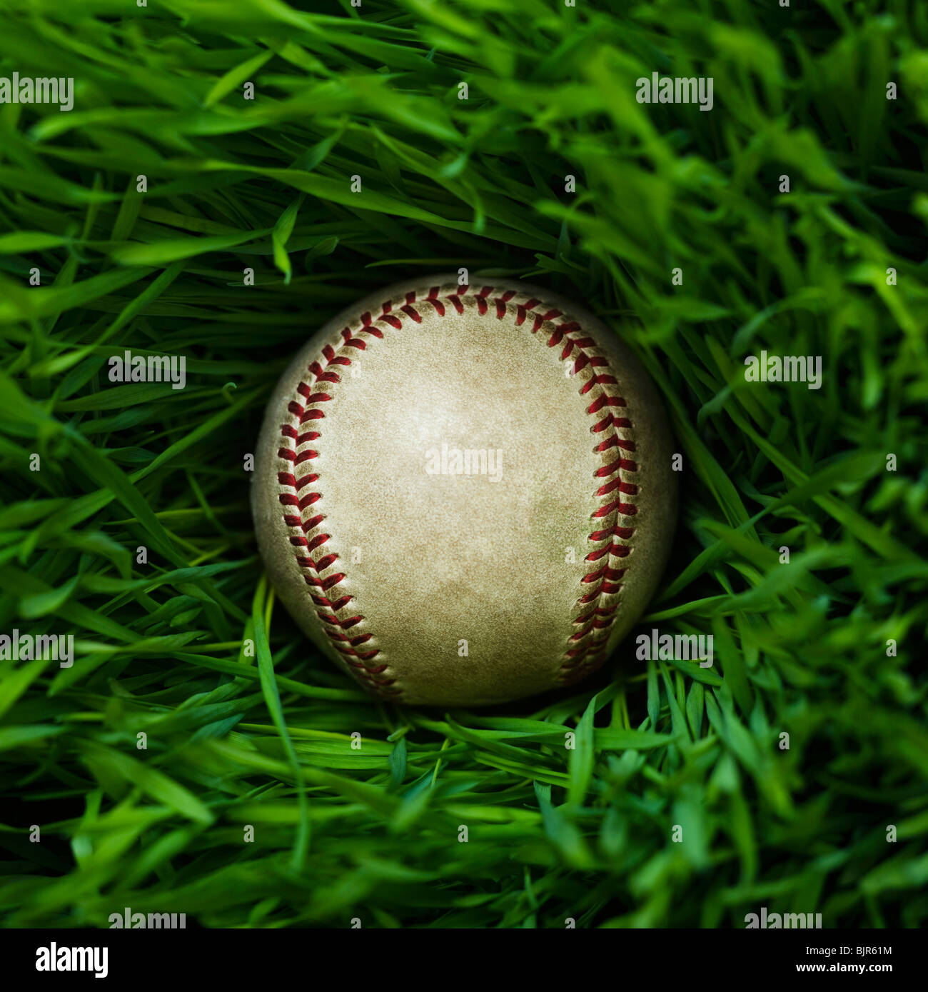 Il baseball in erba Foto Stock