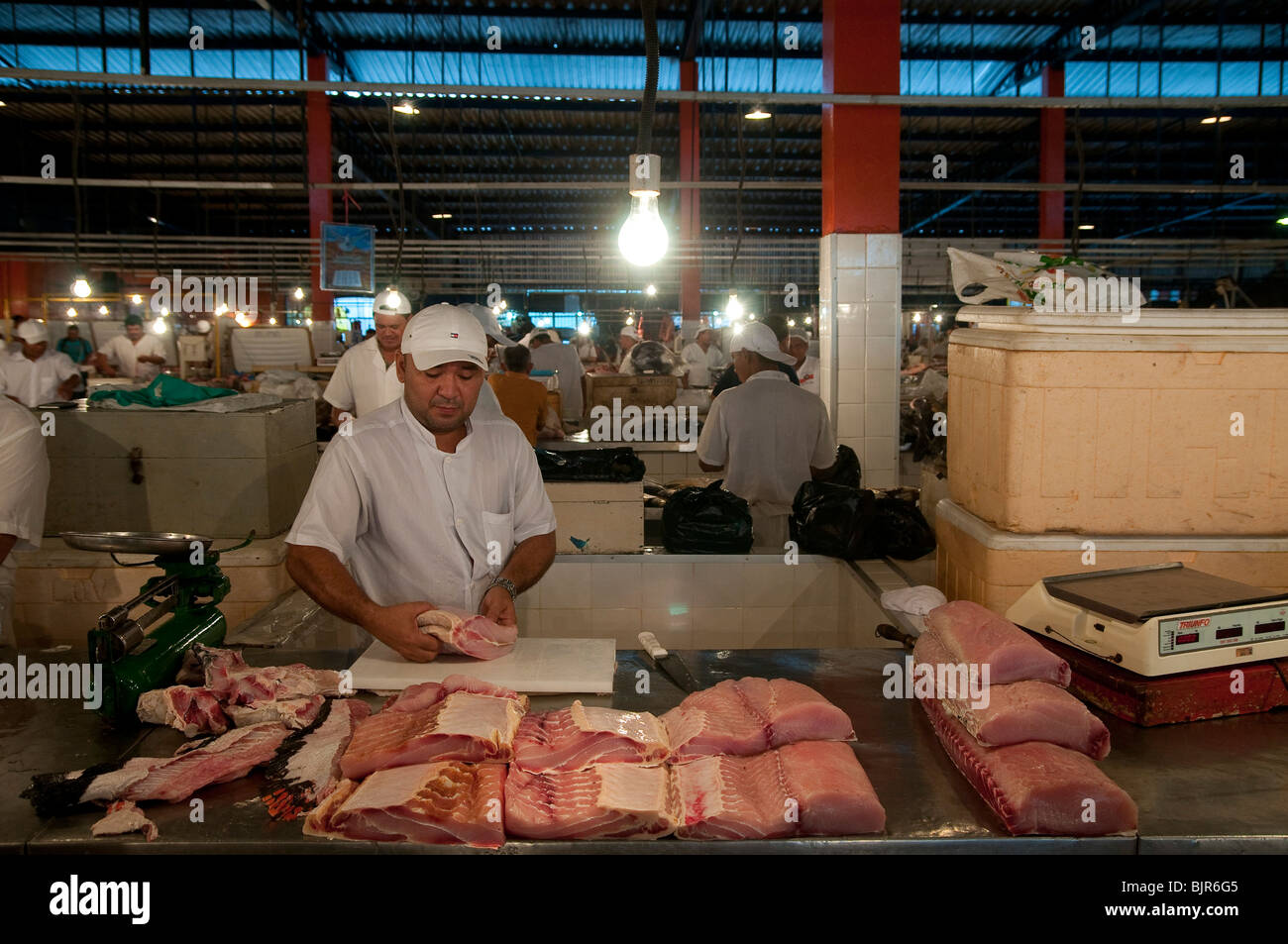 Manaus città mercato ( Mercado Municipal ), Brasile. Il pirarucu, noto anche come arapaima o paiche ( Arapaima gigas ) Foto Stock