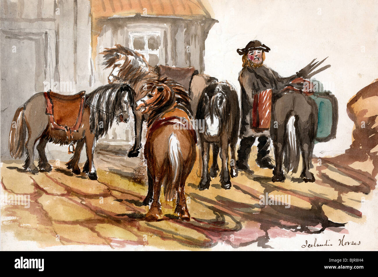 Cavalli islandesi - disegno mostra un uomo in Islanda tendente ad un breve, pesante con i capelli lunghi cavallo Foto Stock