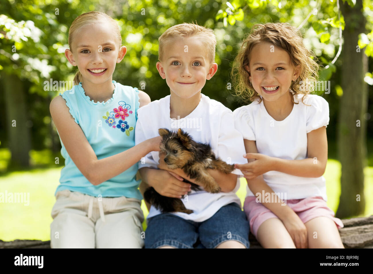 Tre bambini con un cane di piccola taglia Foto Stock