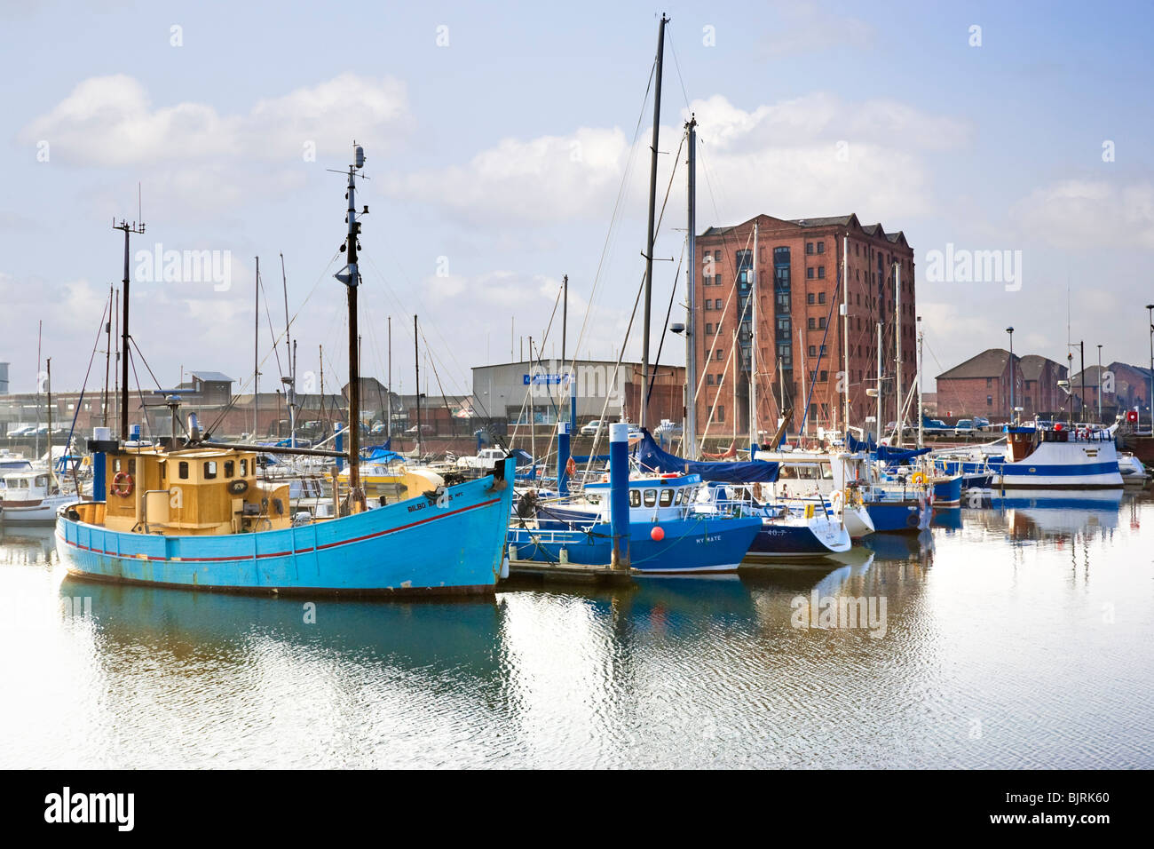 Hull Marina, East Yorkshire, Inghilterra, Regno Unito Foto Stock