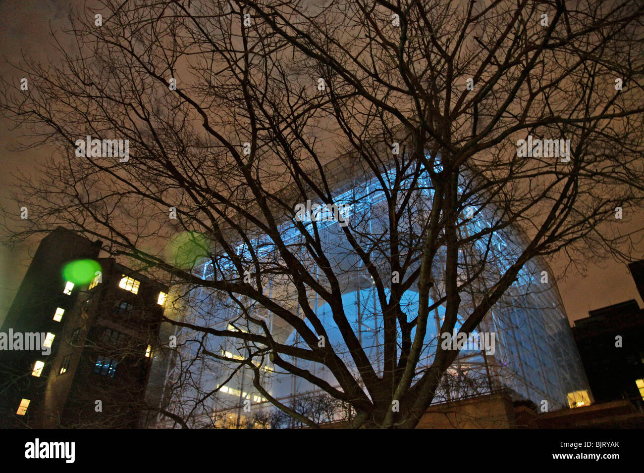 Centro Rose spazio di terra Foto Stock