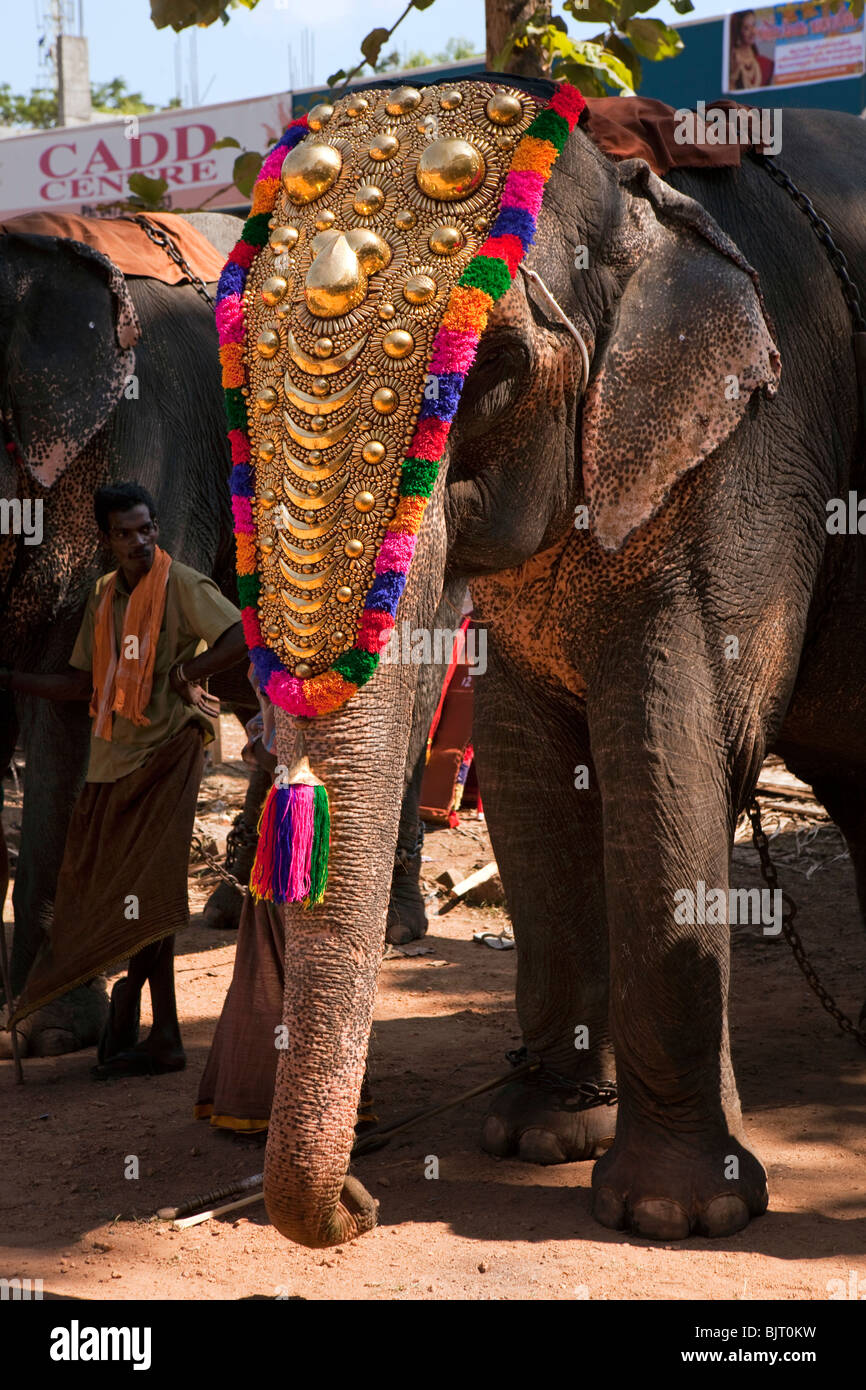 India Kerala, Adoor, Sree Parthasarathy temple, Gajamela, caparisoned elephant essendo preparato per la processione Foto Stock