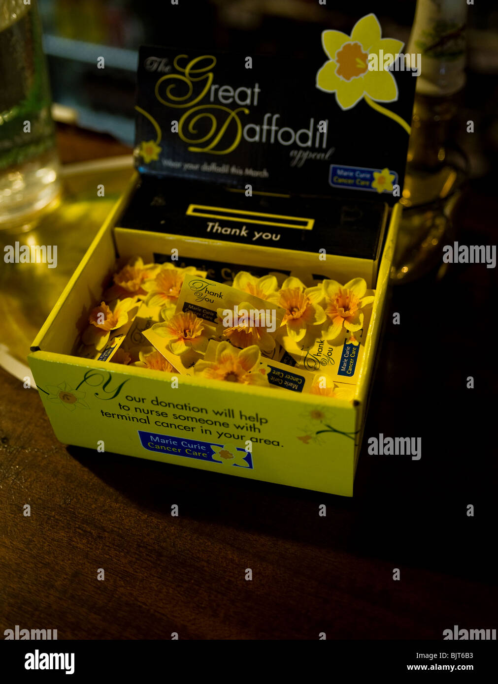 Una casella di beneficenza Marie Curie Cancer Care. Foto Stock