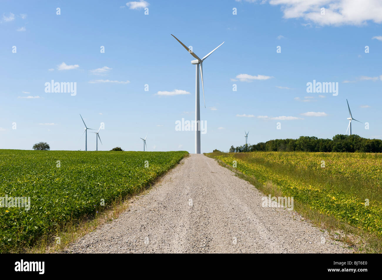 Mulino a vento mulino generare generatore di generazione di equilibrio il conservatorismo conservare ecosistema ecologia ambiente ambientali Amb. Foto Stock